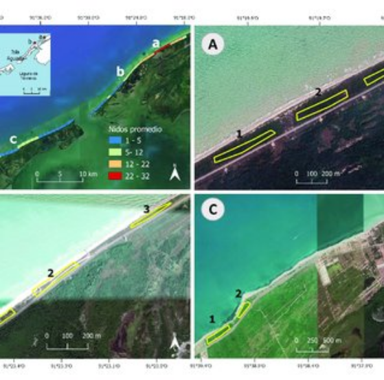 Multitemporal analysis – GIS