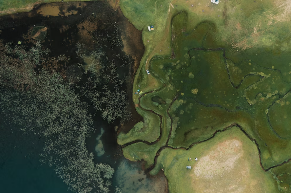 photo from the space - green land with tress and fields