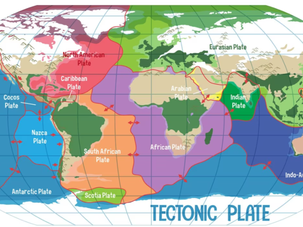 Choosing the Right Map Projection: Top 5 Options